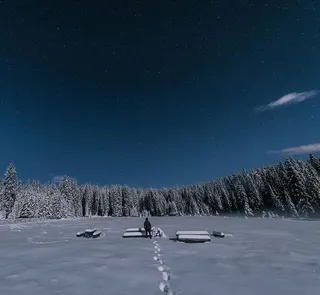 人，站着，野餐桌，风景，照片，男人，雪，被包围