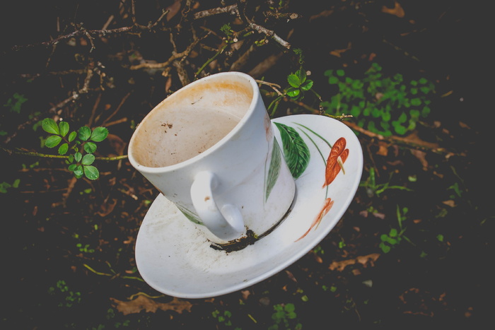 茶碟上白色和绿色陶瓷杯的照片