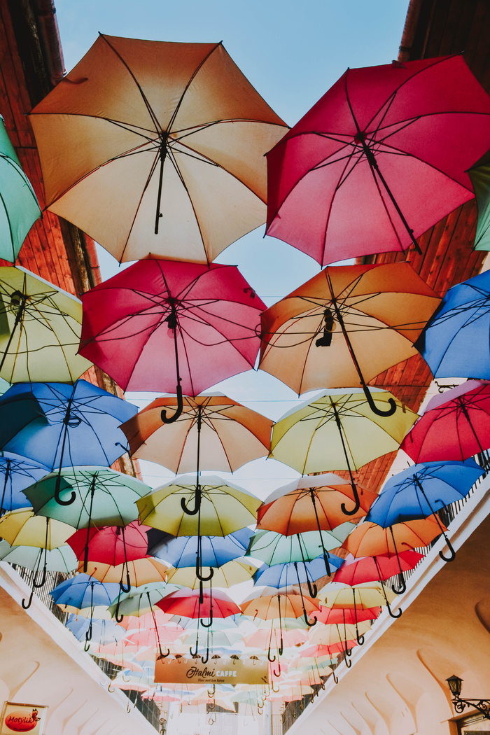 彩色雨伞的低角度视图