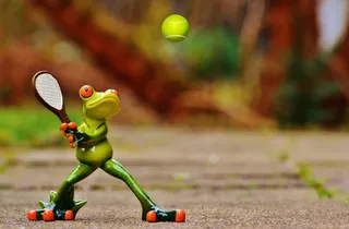 红色，眼睛，树蛙，青蛙，网球，身材，有趣，可爱