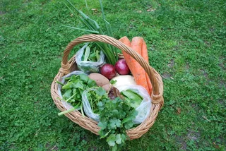胡萝卜，食物，蔬菜，健康，绿色，饮食，新鲜，素食