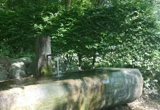 喷泉，饮用水，水，水源，水源，森林，自然，当然