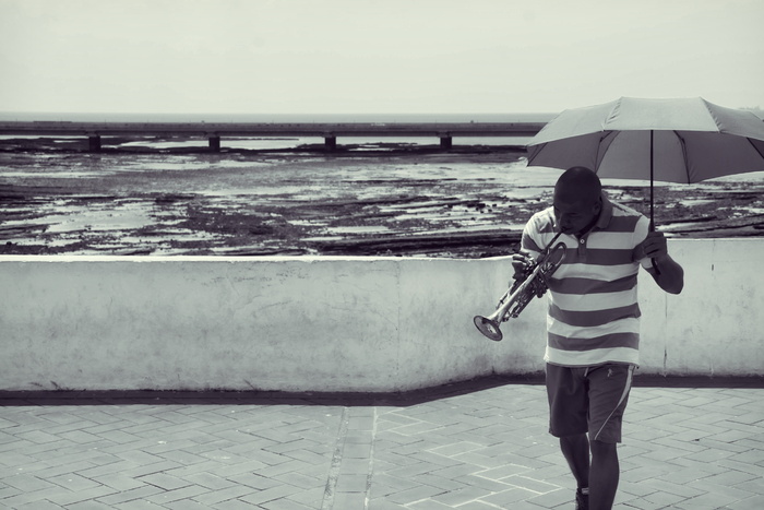 *，家伙，男人，人，小号，音乐家，音乐，雨伞