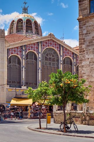 西班牙，瓦伦西亚，巴伦西亚中心市场，旅游，水果，城市，自行车，中心市场