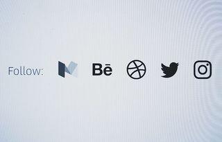 小鸟、追踪、互联网、连接、应用程序、特写、运球、电子邮件