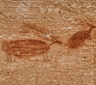 阿纳萨齐，本土艺术，岩画，本土，印度，美国，原始，象形文字