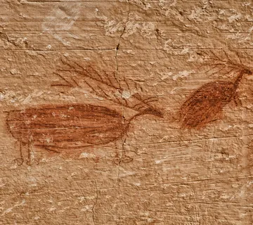 阿纳萨齐,本土艺术,岩画,本土,印度,美国,原始,象形文字 阿纳萨齐,本土艺术,岩画,本土,印度,美国,原始,象形文字