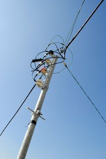 电线杆，天空，蓝天，前线，低角度视图，电缆，晴空，蓝色