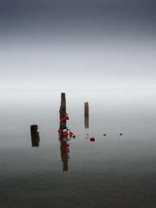 格蒙登、奥斯特赖希、简约、风景、平静、安静、森林、poleposition