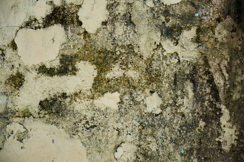 墙，纹理，旧，灰泥，水泥，油漆，壁纸，背景