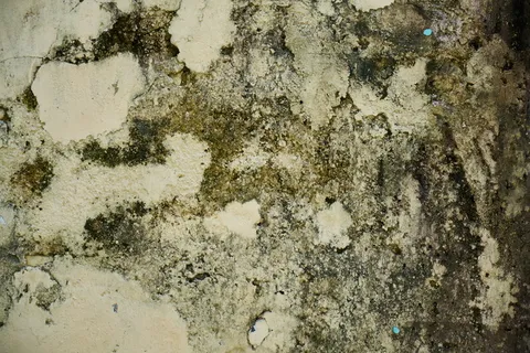 墙,纹理,旧,灰泥,水泥,油漆,壁纸,背景 墙,纹理,旧,灰泥,水泥,油漆,壁纸,背景
