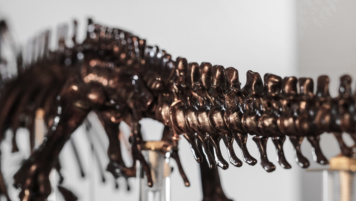 骨, 头骨, 金属雕塑, 金属, 手工, 创意, 雕塑家, 雕塑