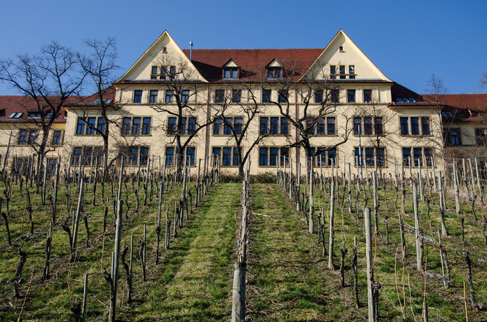 住宅、建筑、建筑、旧建筑、旅游、rämerkastell、旅游、城市