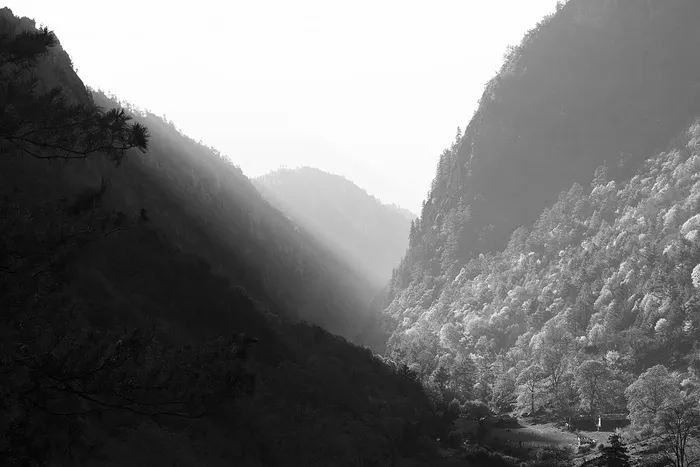灰度照片，山，路，山，树，灰度，摄影，黑白