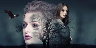 手法，女人，风景，树，鹰，双重曝光，女人，年轻人