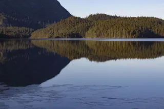 水、自然、户外、湖泊、植物、树木、科莫克斯斯特拉斯科纳、坎贝尔河、罗伯茨湖