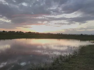 丰满、日落、磅、水、天空、宁静、宁静的景色、云天