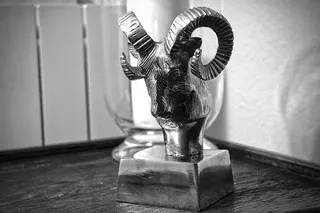 装饰，装饰，磨砂，铬，桌子，装饰，角，山羊