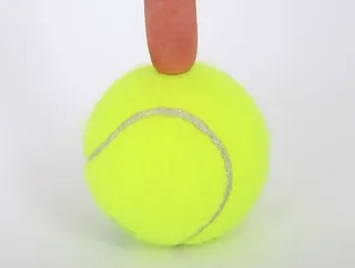 单独、背景、球、冠军、特写、特写、复制空间复制空间、细节