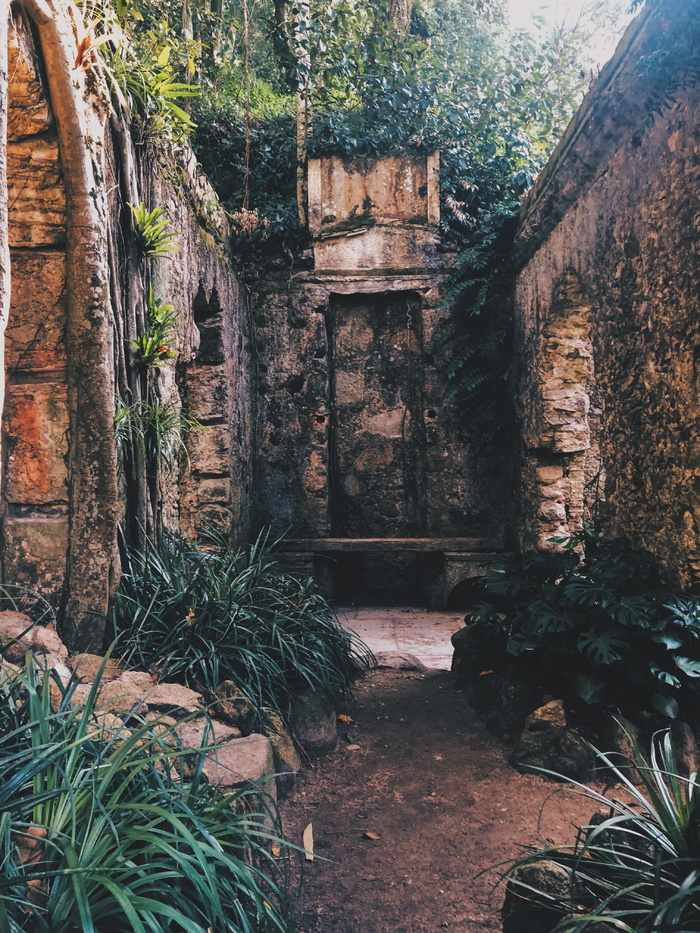 葡萄牙、辛特拉、奥尔德、教堂、花园、森林、丛林、植物