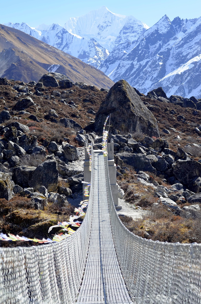 尼泊尔，山脉，徒步旅行，长途跋涉，郎唐，郎唐山，喜马拉雅山，景观