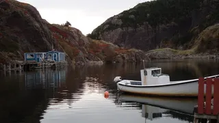 内脏、船、船舱、捕鱼、水、船舶、运输、运输方式
