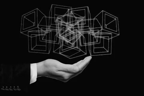 区块链，数据，记录，手持，区块，加密，链，连接