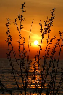 日落、水边、湖泊、自然、自然之美、橙色、天空、宁静