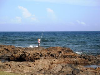 太阳, 海, 鱼, 星期日, 水, 水面上的地平线, 地平线, 天空