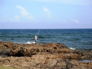 太阳, 海, 鱼, 星期日, 水, 水面上的地平线, 地平线, 天空