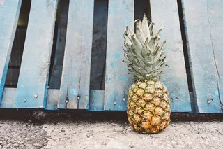 木头，蓝色，树叶，地面，颜色，水果，绿色，指甲