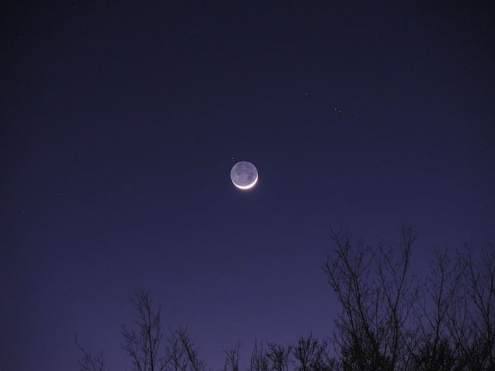 满月，夜晚，自然，风景，树木，树叶，黑暗