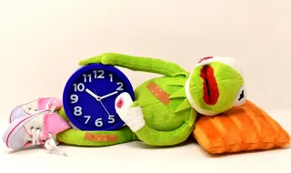 时间可以治愈所有的创伤，鼓励，勇气，进步，治愈，安慰，痛苦，勇气