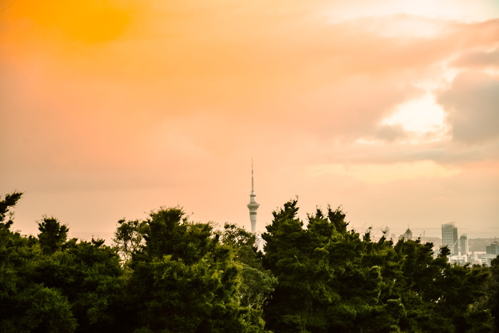 新西兰奥克兰，树，天空，mounteden，新西兰，天空城，建筑
