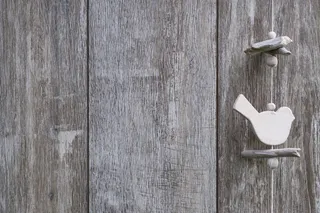 灰色，风铃，表面，背景，木材，鸟，邀请，优惠券