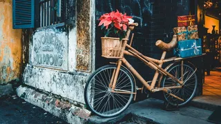 交通、自行车、木材、竹子、鲜花、礼品、风格、装饰