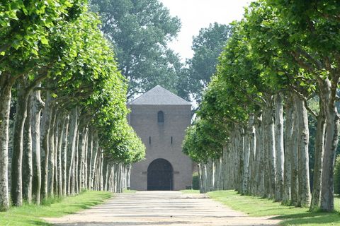 树木，林荫道，远离，林荫道，树木，植物，建筑，建筑结构