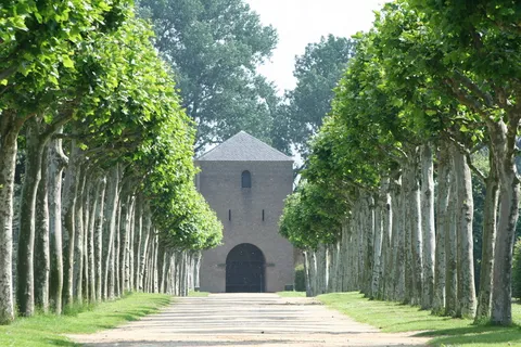 树木，林荫道，远离，林荫道，树木，植物，建筑，建筑结构