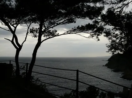 海，水，阴沉，威胁，视野，多云，黑暗，背光