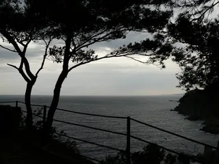 海，水，阴沉，威胁，视野，多云，黑暗，背光