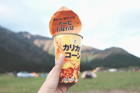 日本，藤川直子，川口，模型，家常便饭，简单餐，点心，野餐