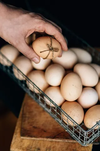 装有新鲜农场鸡蛋的铁丝网篮子