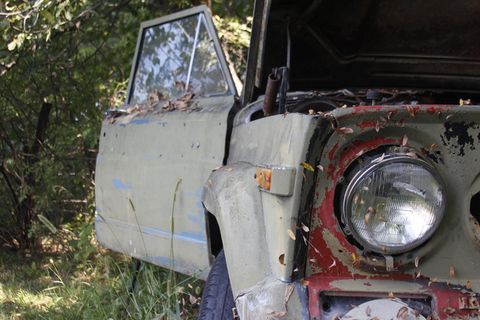 美国，霍伊特，吉普车，灯，窗户，门，引擎盖，车轮