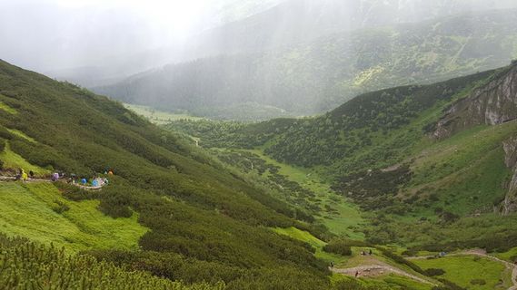 埋藏、夏末、鞑靼、风景-自然、山脉、环境、景观、雾