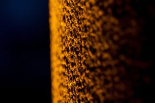 纹理，石头，固体，花岗岩，特写，没有人，自然，植物