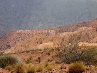 蓬塔但反转，腾空，阿根廷，山脉，山脉，风景-自然，景观，植物