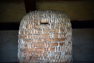 蜂箱，蜂蜜，蜂箱，养蜂，养蜂，养蜂人，养蜂，室内