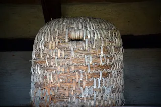 蜂箱，蜂蜜，蜂箱，养蜂，养蜂，养蜂人，养蜂，室内