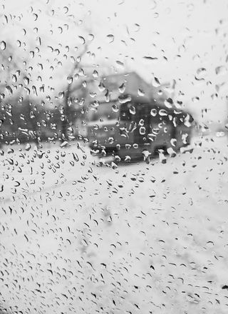 水滴，ulitsa novokuznetskaya，俄罗斯，莫斯科，地毯，鸟，动物，泡泡