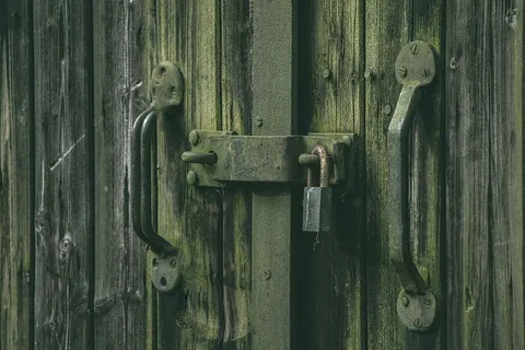 锁,门,安全,入口,家,开锁,木头,建筑 锁,门,安全,入口,家,开锁,木头,建筑